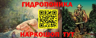 шишки Славгород
