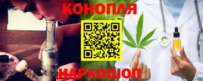 шишки Славгород