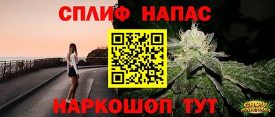 винт Сланцы