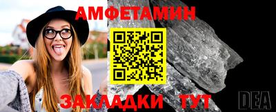 шишки Славгород