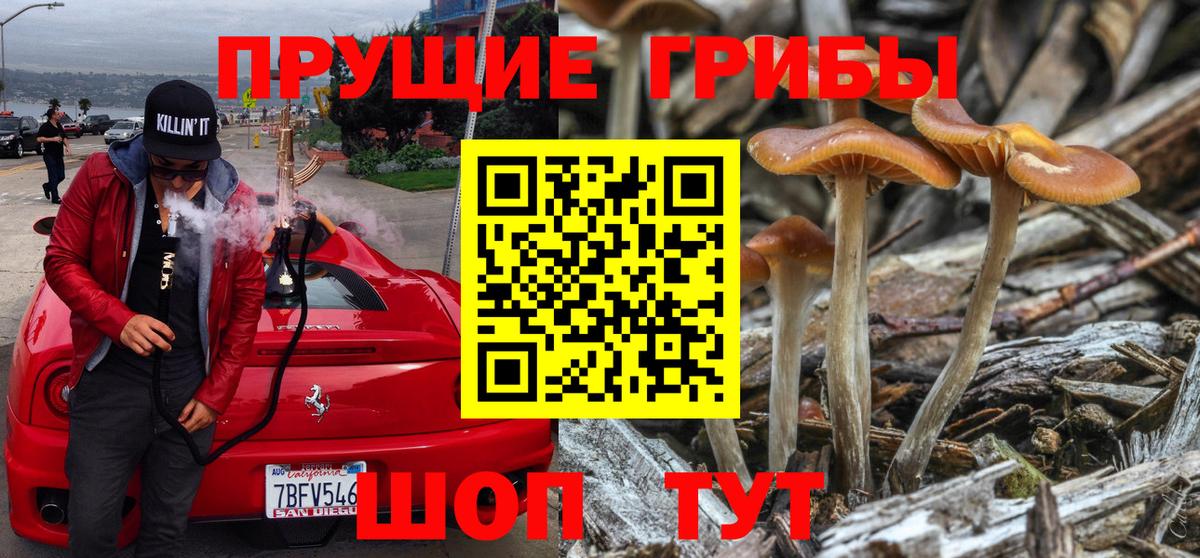 Псилоцибиновые грибы Psilocybe  Вход с VPN  Новороссийск  Галлюциногенные грибы Psilocybine cubensis 